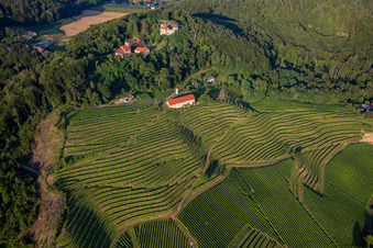 Kirche Župnijska cerkev sv. Marije Vnebovzete und Café Huda Liza über den Weinbergen des Vurberg in Duplek, Slowenien von oben
