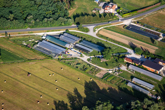 Gartencenter Vrtnarija Majdin Gaj und  Horti d.o.o in Renče-Vogrsko, Slowenien