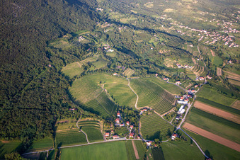 Luftbild von Weinberge in Nova Gorica, Slowenien