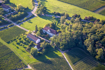 Keschde Buckel in Klingenmünster im Bundesland Rheinland-Pfalz, Deutschland