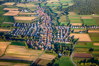 Dorfansicht am Abend von Westen in Freckenfeld im Bundesland Rheinland-Pfalz, Deutschland