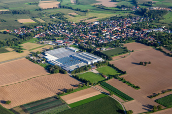 Fa. Siereg und SV Scherzheim in Lichtenau im Bundesland Baden-Württemberg, Deutschland