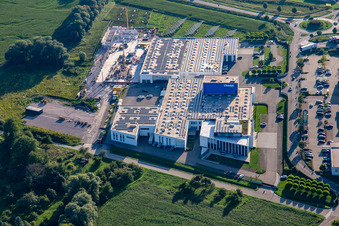 Zimmer Group Am Glockenloch im Ortsteil Freistett in Rheinau im Bundesland Baden-Württemberg, Deutschland