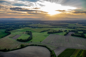 Sonnenuntergang über den Vogesen in Obenheim im Bundesland Bas-Rhin, Frankreich