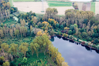 Maximilansau, Altrhein im Ortsteil Maximiliansau in Wörth am Rhein im Bundesland Rheinland-Pfalz, Deutschland