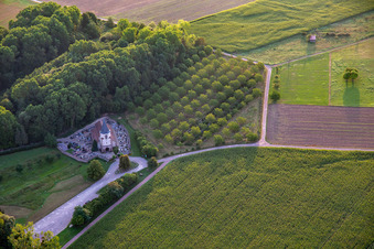 Église Saint-Pierre (dite « Dompeter ») - XIIème siècle in Molsheim im Bundesland Bas-Rhin, Frankreich