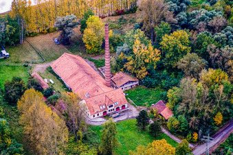 Frohnau am Altrhein in Neuburg am Rhein im Bundesland Rheinland-Pfalz, Deutschland