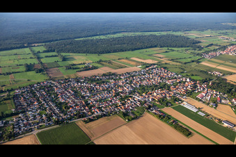Minfeld von Norden im Bundesland Rheinland-Pfalz, Deutschland