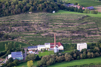 CJD Wolfstein, Aussenstelle Niedermühle und   Weingut Klostermühle Odernheim KG in Odernheim am Glan im Bundesland Rheinland-Pfalz, Deutschland