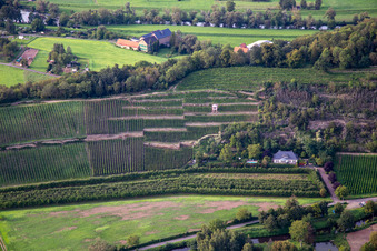 Weingut Disibodenberg KG in Odernheim am Glan im Bundesland Rheinland-Pfalz, Deutschland
