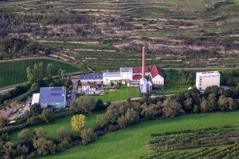 Luftbild von CJD Wolfstein, Aussenstelle Niedermühle und   Weingut Klostermühle Odernheim KG in Odernheim am Glan im Bundesland Rheinland-Pfalz, Deutschland