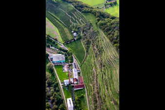 Luftaufnahme von CJD Wolfstein, Aussenstelle Niedermühle und  Weingut Klostermühle Odernheim KG in Odernheim am Glan im Bundesland Rheinland-Pfalz, Deutschland