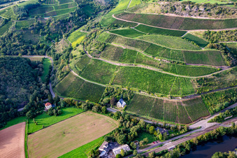 Weinlage Schloßböckelheimer Königfels am Heimberg in Waldböckelheim im Bundesland Rheinland-Pfalz, Deutschland