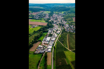 Weinsheim im Bundesland Rheinland-Pfalz, Deutschland