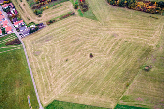 Abgeerntete Wiese auf landwirtschaftlichen Feld- Reihen im Ortsteil Büchelberg in Wörth am Rhein im Bundesland Rheinland-Pfalz, Deutschland