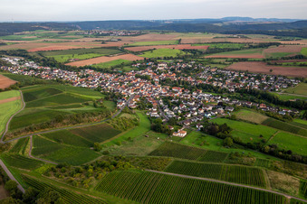 Weinsheim von Norden im Bundesland Rheinland-Pfalz, Deutschland