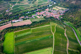 Rebberge auf dem Gangelsberg in Oberhausen an der Nahe im Bundesland Rheinland-Pfalz, Deutschland