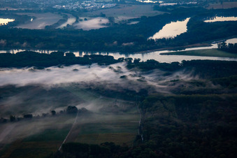 Altrhein Hömel im Morgennebel vor Sonnenaufgang im Ortsteil Maximiliansau in Wörth am Rhein im Bundesland Rheinland-Pfalz, Deutschland