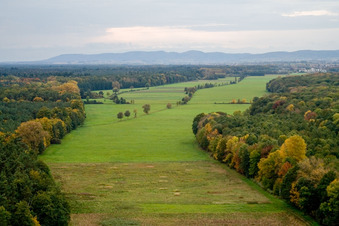 Luftbild von Otterbachtal in Freckenfeld im Bundesland Rheinland-Pfalz, Deutschland