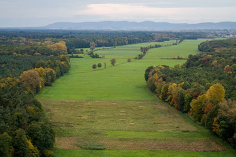 Luftaufnahme von Otterbachtal in Freckenfeld im Bundesland Rheinland-Pfalz, Deutschland