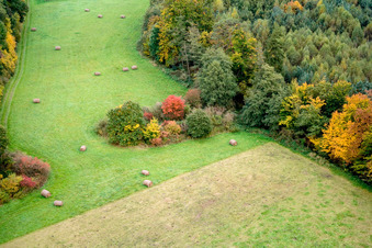 Schrägluftbild von Otterbachtal in Freckenfeld im Bundesland Rheinland-Pfalz, Deutschland