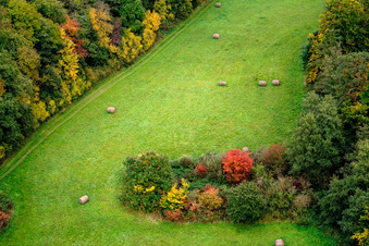 Otterbachtal in Freckenfeld im Bundesland Rheinland-Pfalz, Deutschland aus der Luft