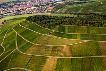 Luftbild von Weinberg Großbottwar im Ortsteil Kleinbottwar in Steinheim an der Murr im Bundesland Baden-Württemberg, Deutschland