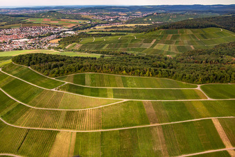 Schrägluftbild von Weinberg Großbottwar im Ortsteil Kleinbottwar in Steinheim an der Murr im Bundesland Baden-Württemberg, Deutschland