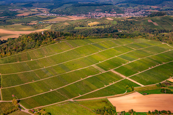 Luftbild von Weinberg Wunnenstein im Ortsteil Winzerhausen in Großbottwar im Bundesland Baden-Württemberg, Deutschland