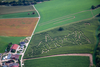 Maislabyrinth des Milchhof Lämmle-Hofmann im Ortsteil Flehingen in Oberderdingen im Bundesland Baden-Württemberg, Deutschland