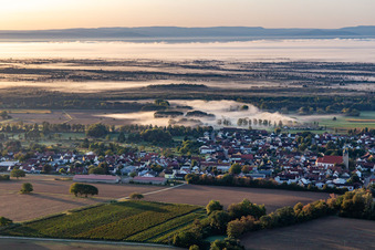 Steinfeld vor dem Bienwald im Morgennebel im Bundesland Rheinland-Pfalz, Deutschland