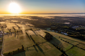 Panorama des Bienwalds bei Sonnenaufgang in Schweighofen im Bundesland Rheinland-Pfalz, Deutschland