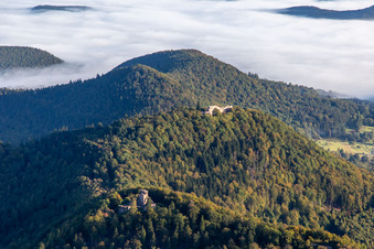 Luftbild von Château de Lœwenstein und Wegelnburg in Wingen im Bundesland Bas-Rhin, Frankreich