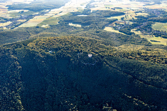 Baumwipfelpfad Elsass in Cleebourg im Bundesland Bas-Rhin, Frankreich aus der Luft