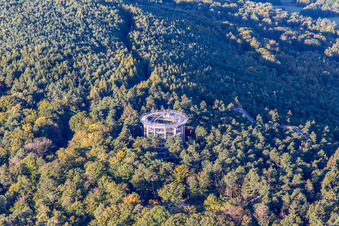 Baumwipfelpfad Elsass in Cleebourg im Bundesland Bas-Rhin, Frankreich aus der Luft betrachtet