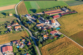 Luftaufnahme von Ferme Schafbusch in Steinseltz im Bundesland Bas-Rhin, Frankreich