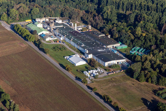 Sitek Insulation im Ortsteil Altenstadt in Wissembourg im Bundesland Bas-Rhin, Frankreich vom Flugzeug aus