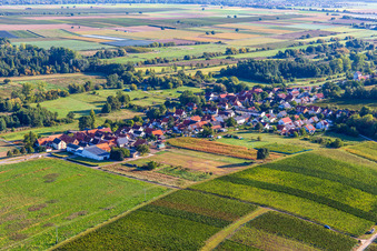 Hergersweiler von Südwesten im Bundesland Rheinland-Pfalz, Deutschland