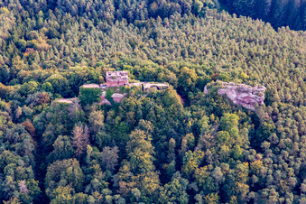 Burg Drachenfels in Busenberg im Bundesland Rheinland-Pfalz, Deutschland