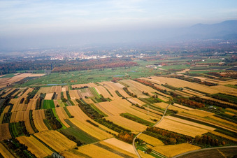 Urloffen, Golfclub Urloffen e.V in Appenweier im Bundesland Baden-Württemberg, Deutschland