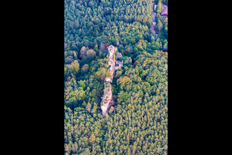 Burg Drachenfels in Busenberg im Bundesland Rheinland-Pfalz, Deutschland aus der Luft