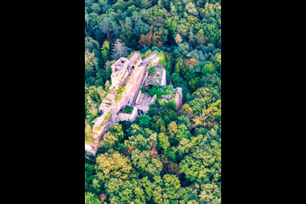 Burg Drachenfels in Busenberg im Bundesland Rheinland-Pfalz, Deutschland vom Flugzeug aus