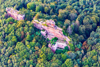 Burg Drachenfels in Busenberg im Bundesland Rheinland-Pfalz, Deutschland aus der Vogelperspektive