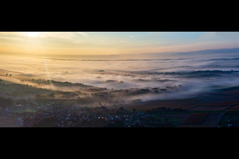 Nebel und Heissluftballon über der Rheinebene im Nordelsass in Riedseltz im Bundesland Bas-Rhin, Frankreich