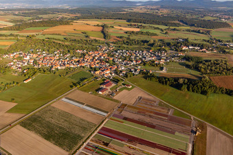 Ferme Brandt Arbogast Morsbronn in Morsbronn-les-Bains im Bundesland Bas-Rhin, Frankreich
