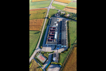 Schrägluftbild von Gunther Tools in Soultz-sous-Forêts im Bundesland Bas-Rhin, Frankreich