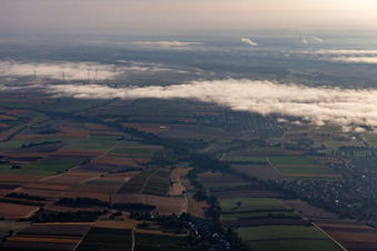 Freckenfeld im Bundesland Rheinland-Pfalz, Deutschland von einer Drohne aus