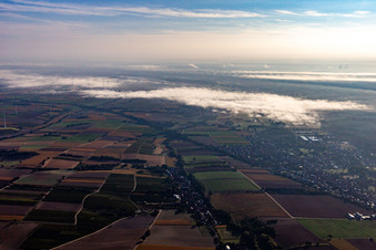 Drohnenbild von Ortsteil Schaidt in Wörth am Rhein im Bundesland Rheinland-Pfalz, Deutschland