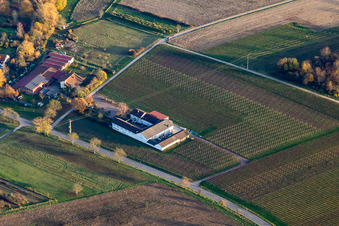 Knaufs Weinstube in Göcklingen im Bundesland Rheinland-Pfalz, Deutschland