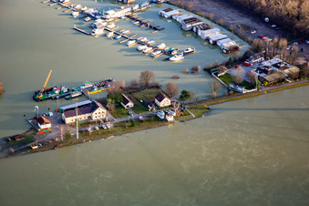 Überflutetes Wasserstraßen- und Schifffahrtsamt Maxau bei Rhein-Hochwasser im Ortsteil Knielingen in Karlsruhe im Bundesland Baden-Württemberg, Deutschland